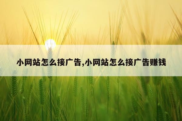 小网站怎么接广告,小网站怎么接广告赚钱