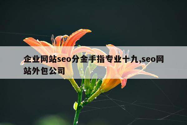 企业网站seo分金手指专业十九,seo网站外包公司