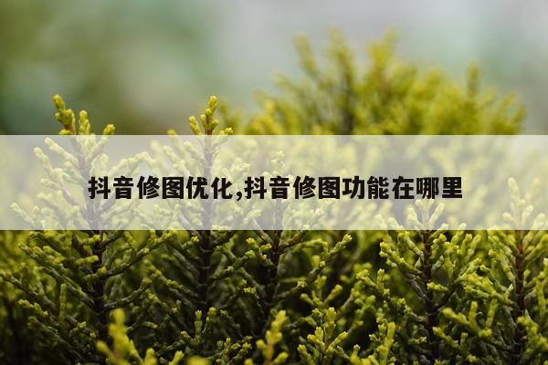 抖音修图优化,抖音修图功能在哪里
