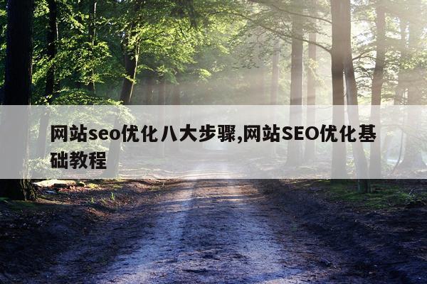 网站seo优化八大步骤,网站SEO优化基础教程