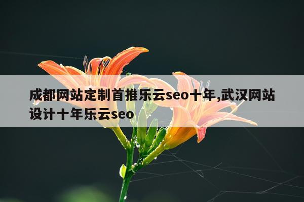 成都网站定制首推乐云seo十年,武汉网站设计十年乐云seo