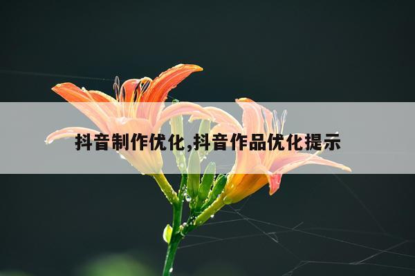 抖音制作优化,抖音作品优化提示