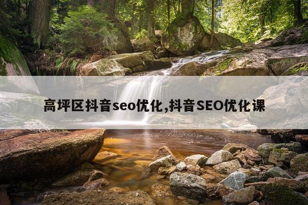 高坪区抖音seo优化,抖音SEO优化课