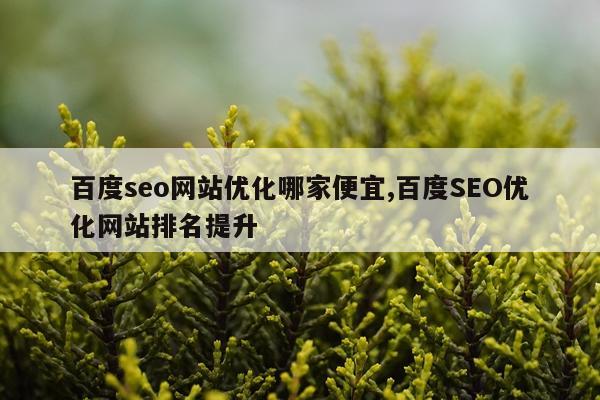 百度seo网站优化哪家便宜,百度SEO优化网站排名提升