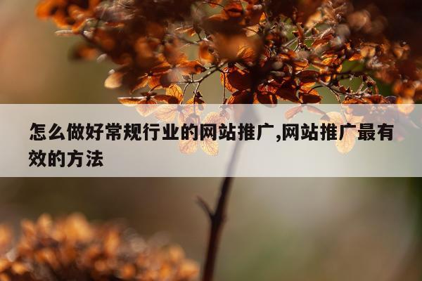 怎么做好常规行业的网站推广,网站推广最有效的方法