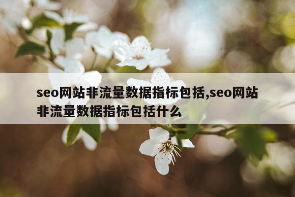 seo网站非流量数据指标包括,seo网站非流量数据指标包括什么