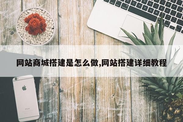 网站商城搭建是怎么做,网站搭建详细教程