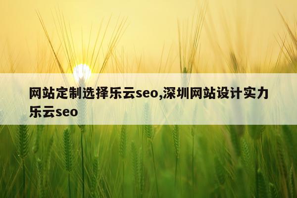 网站定制选择乐云seo,深圳网站设计实力乐云seo