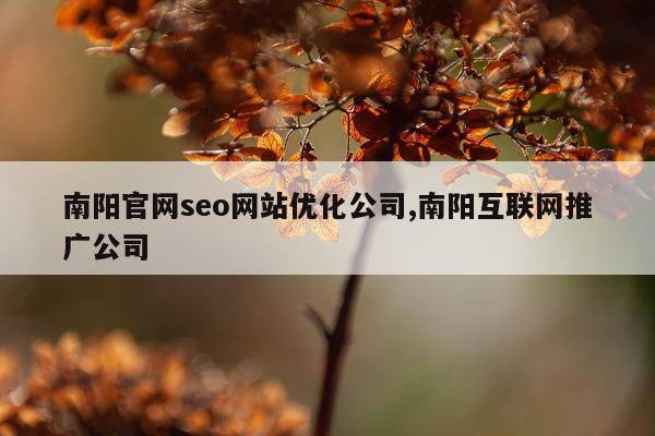 南阳官网seo网站优化公司,南阳互联网推广公司