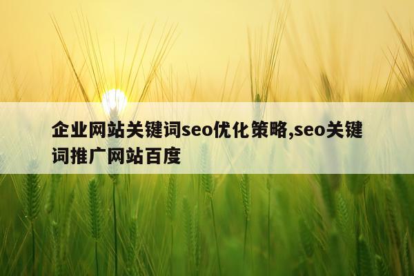 企业网站关键词seo优化策略,seo关键词推广网站百度