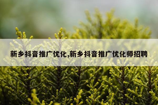 新乡抖音推广优化,新乡抖音推广优化师招聘