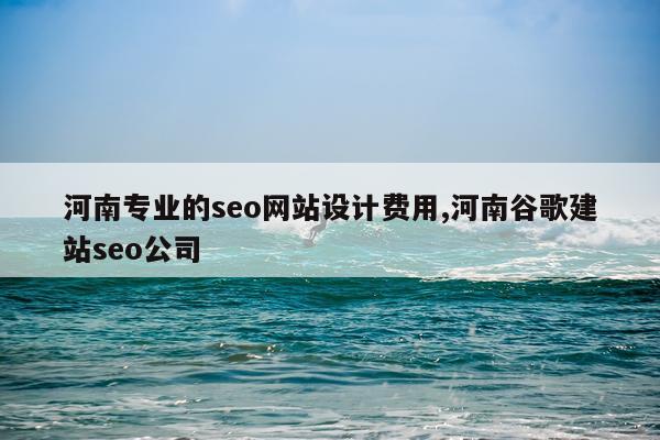 河南专业的seo网站设计费用,河南谷歌建站seo公司