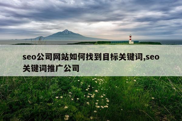seo公司网站如何找到目标关键词,seo关键词推广公司