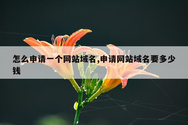 怎么申请一个网站域名,申请网站域名要多少钱