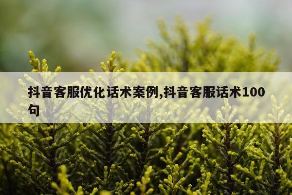 抖音客服优化话术案例,抖音客服话术100句