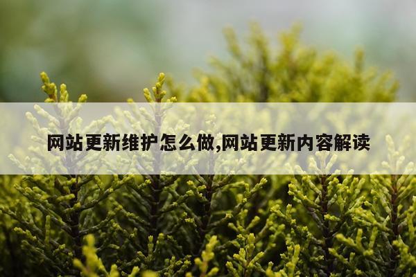 网站更新维护怎么做,网站更新内容解读