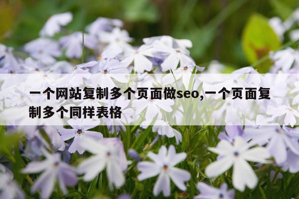 一个网站复制多个页面做seo,一个页面复制多个同样表格