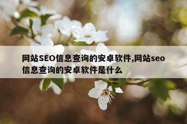 网站SEO信息查询的安卓软件,网站seo信息查询的安卓软件是什么