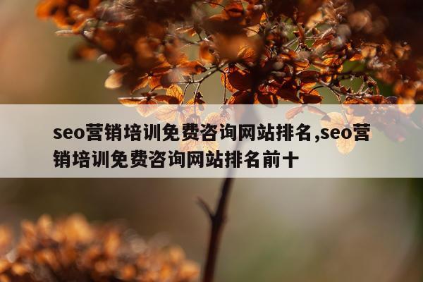 seo营销培训免费咨询网站排名,seo营销培训免费咨询网站排名前十
