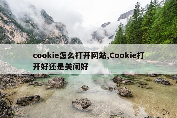cookie怎么打开网站,Cookie打开好还是关闭好