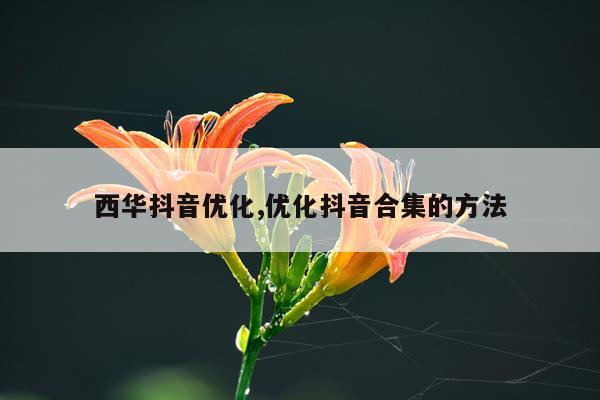西华抖音优化,优化抖音合集的方法