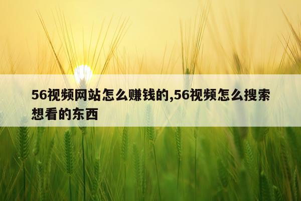 56视频网站怎么赚钱的,56视频怎么搜索想看的东西