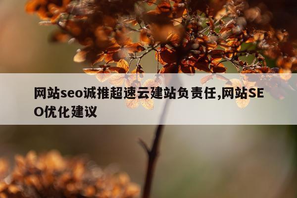 网站seo诚推超速云建站负责任,网站SEO优化建议