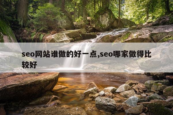 seo网站谁做的好一点,seo哪家做得比较好