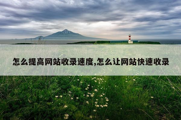 怎么提高网站收录速度,怎么让网站快速收录