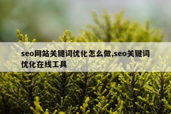 seo网站关键词优化怎么做,seo关键词优化在线工具