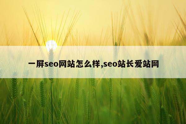 一屏seo网站怎么样,seo站长爱站网