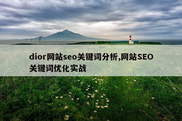 dior网站seo关键词分析,网站SEO关键词优化实战