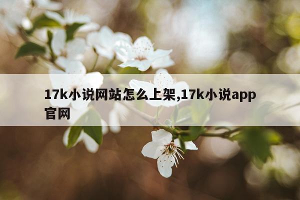 17k小说网站怎么上架,17k小说app官网