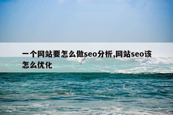 一个网站要怎么做seo分析,网站seo该怎么优化