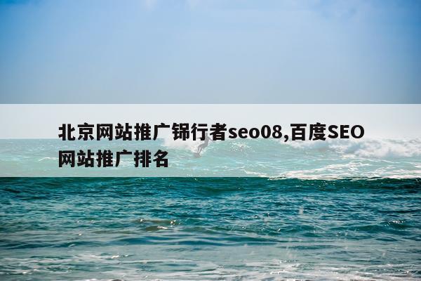 北京网站推广铞行者seo08,百度SEO网站推广排名