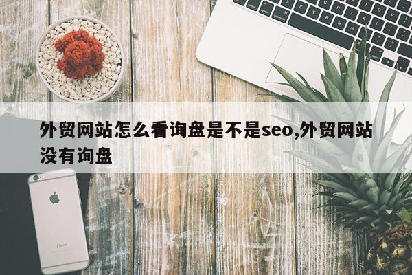 外贸网站怎么看询盘是不是seo,外贸网站没有询盘
