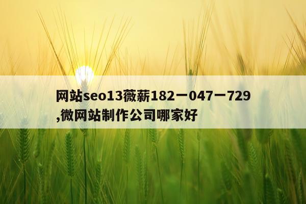 网站seo13薇薪182一047一729,微网站制作公司哪家好