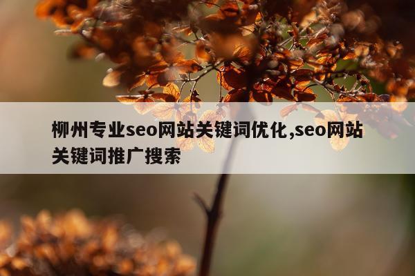 柳州专业seo网站关键词优化,seo网站关键词推广搜索