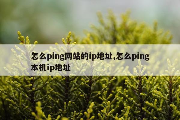 怎么ping网站的ip地址,怎么ping本机ip地址
