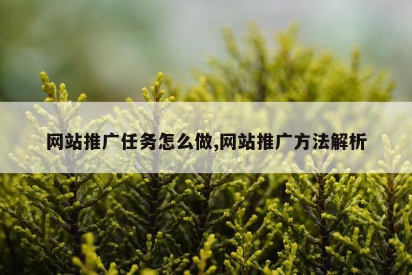 网站推广任务怎么做,网站推广方法解析