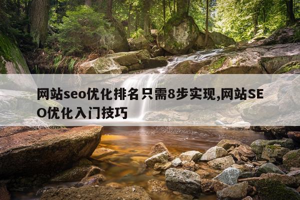 网站seo优化排名只需8步实现,网站SEO优化入门技巧