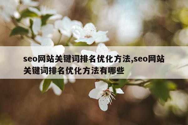 seo网站关键词排名优化方法,seo网站关键词排名优化方法有哪些