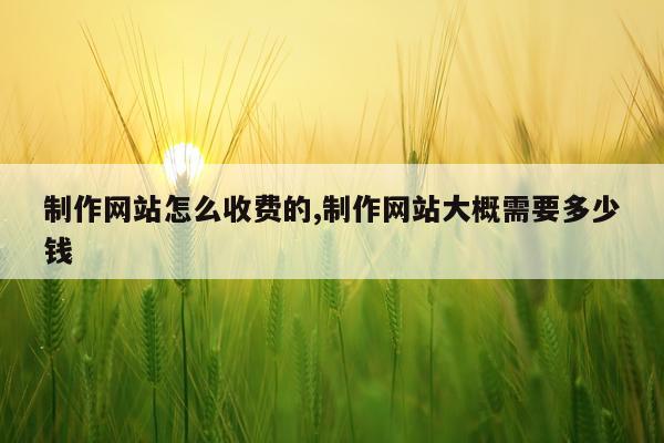 制作网站怎么收费的,制作网站大概需要多少钱