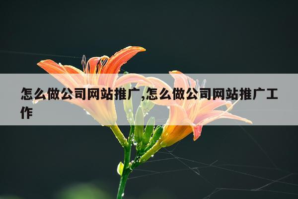 怎么做公司网站推广,怎么做公司网站推广工作