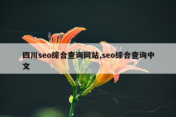 四川seo综合查询网站,seo综合查询中文