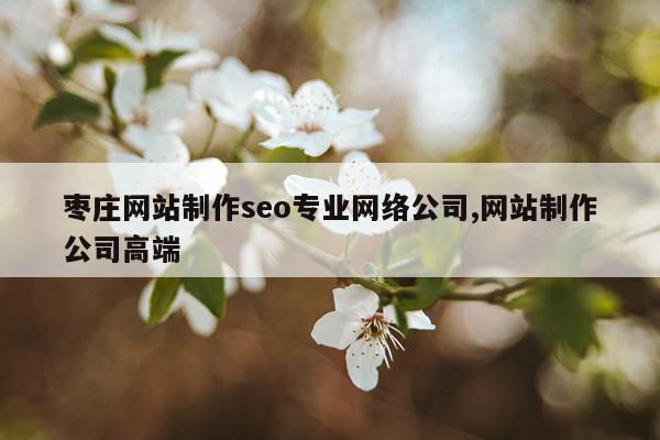 枣庄网站制作seo专业网络公司,网站制作公司高端