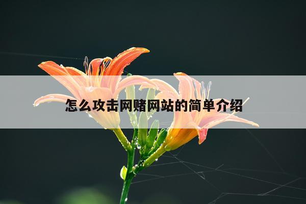 怎么攻击网赌网站的简单介绍