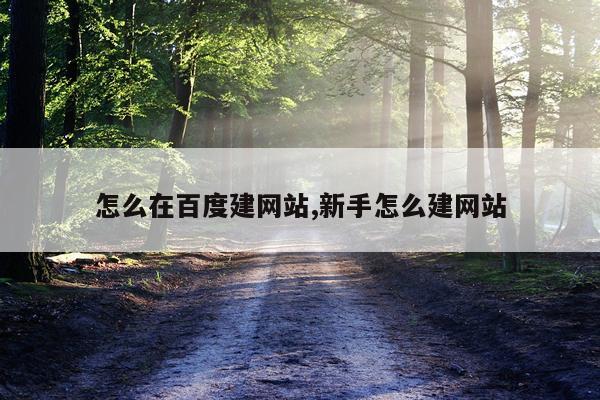 怎么在百度建网站,新手怎么建网站