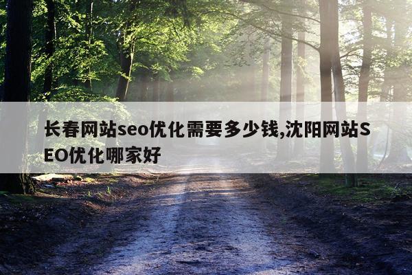 长春网站seo优化需要多少钱,沈阳网站SEO优化哪家好