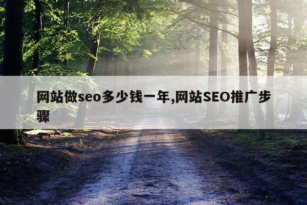 网站做seo多少钱一年,网站SEO推广步骤